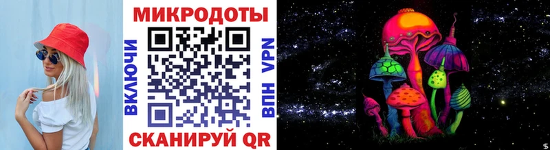 Галлюциногенные грибы Psilocybe  Пласт 